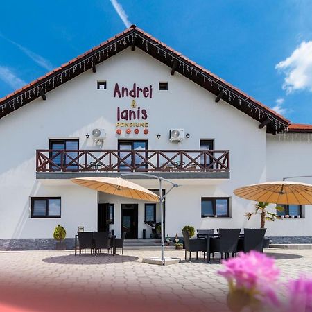 Agropensiunea Andrei & Ianis Daesti Экстерьер фото