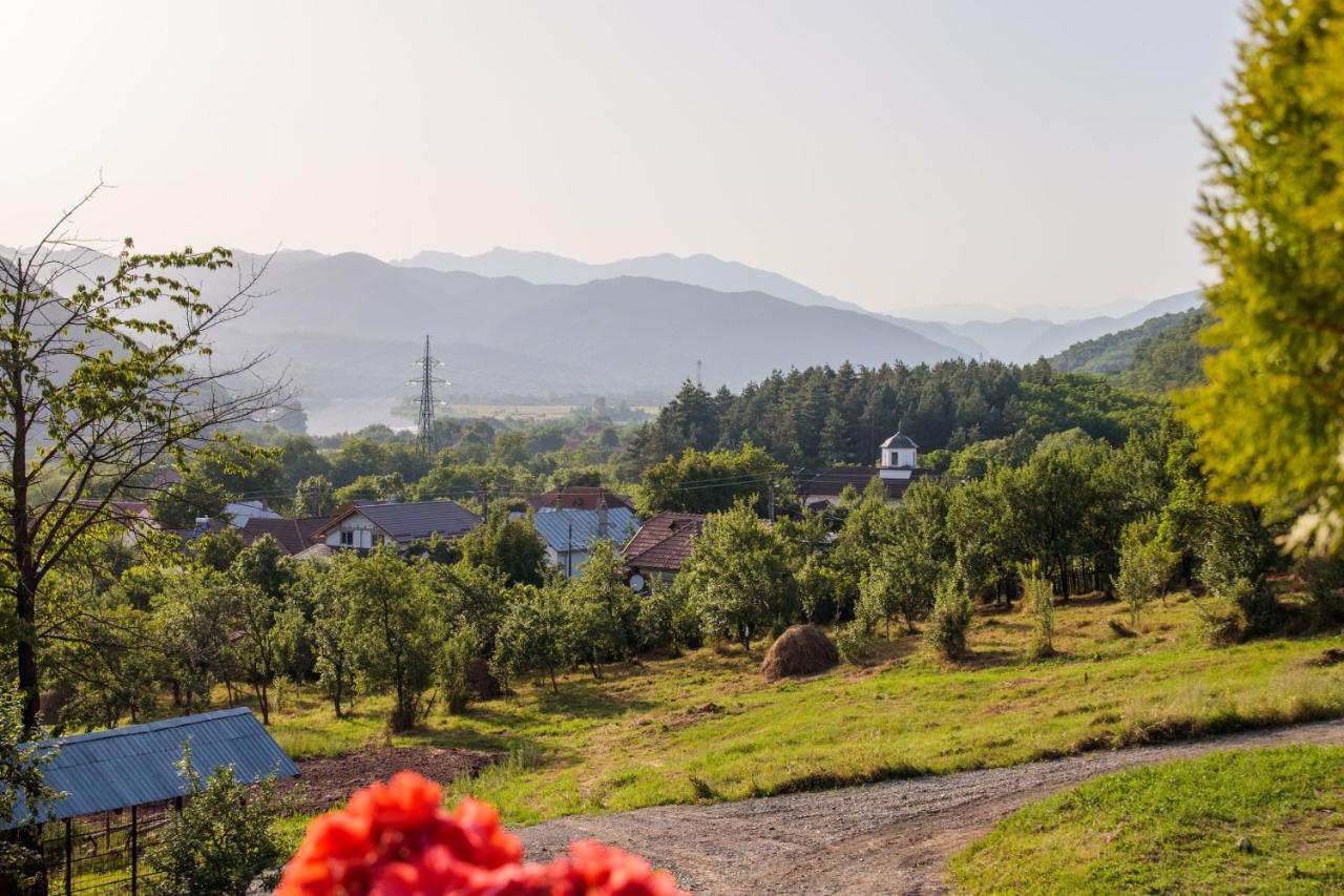 Agropensiunea Andrei & Ianis Daesti Экстерьер фото
