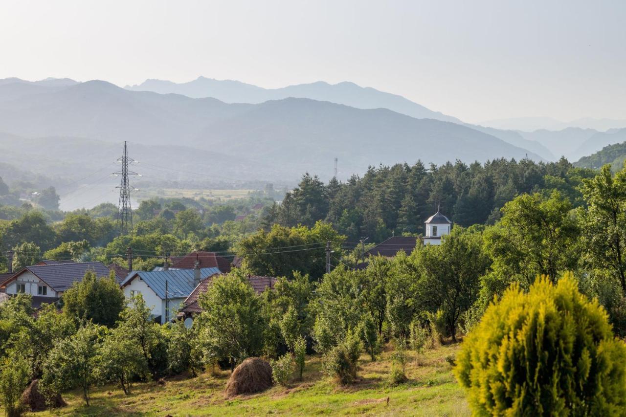 Agropensiunea Andrei & Ianis Daesti Экстерьер фото