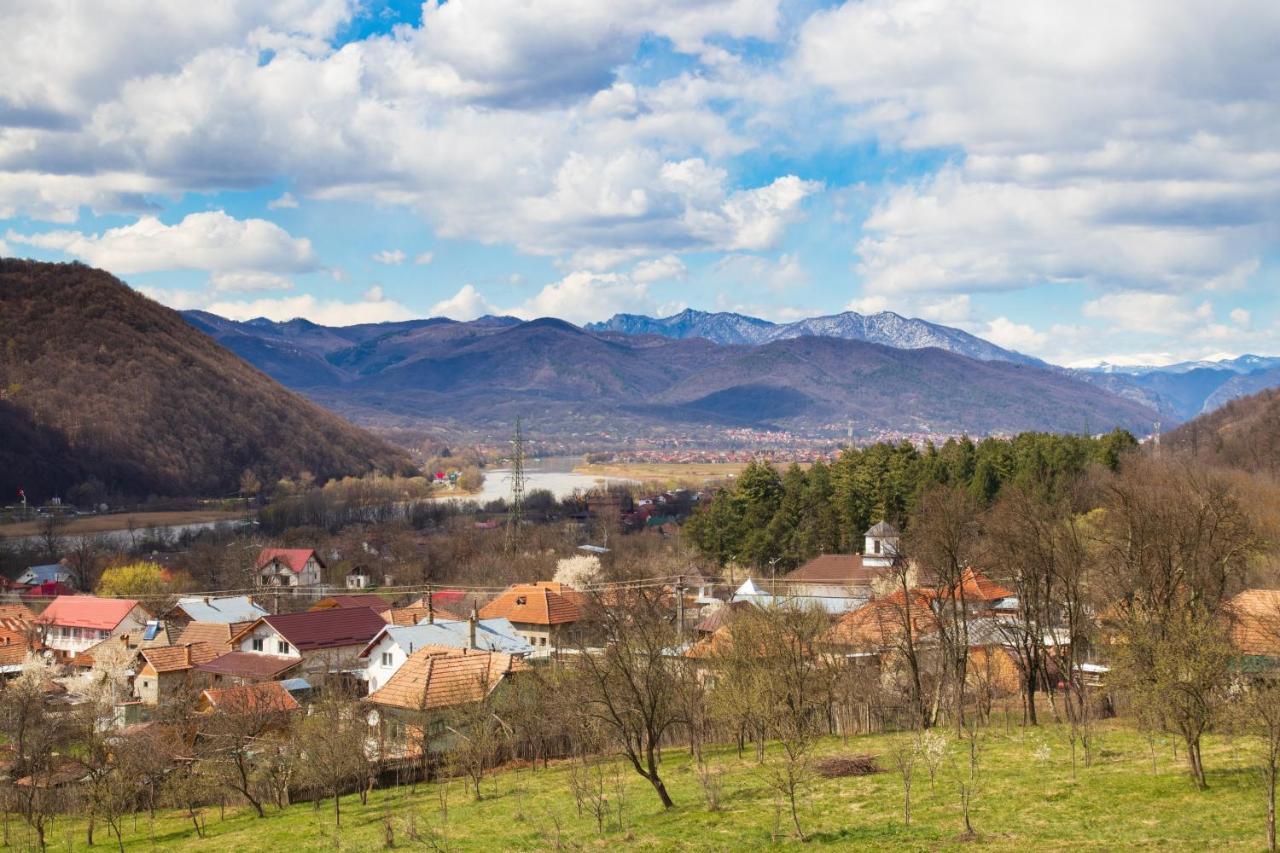 Agropensiunea Andrei & Ianis Daesti Экстерьер фото