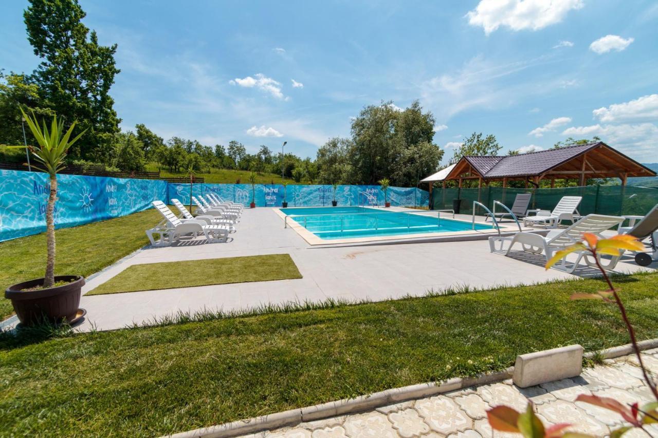 Agropensiunea Andrei & Ianis Daesti Экстерьер фото