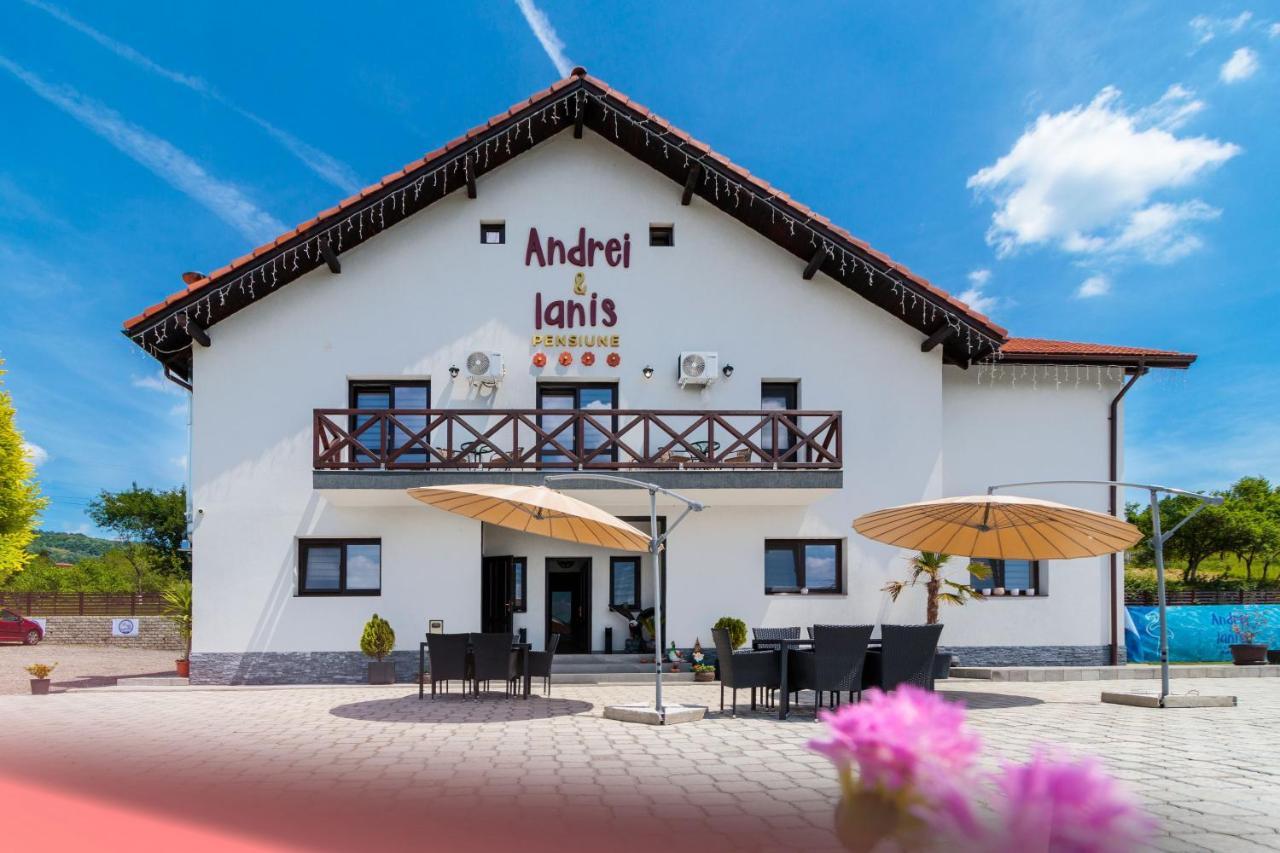 Agropensiunea Andrei & Ianis Daesti Экстерьер фото