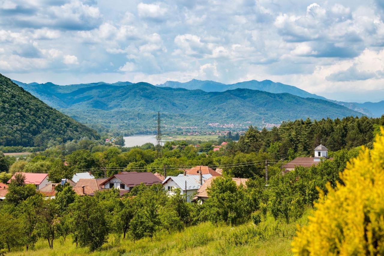 Agropensiunea Andrei & Ianis Daesti Экстерьер фото